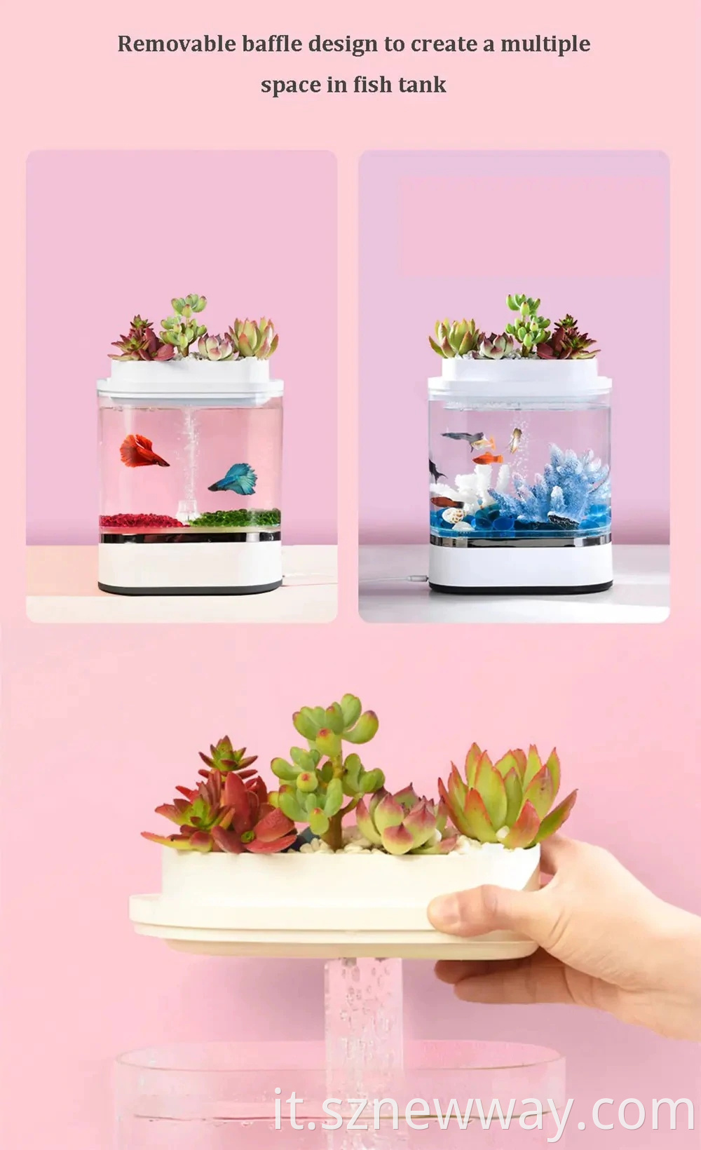 Mini Lazy Fish Tank